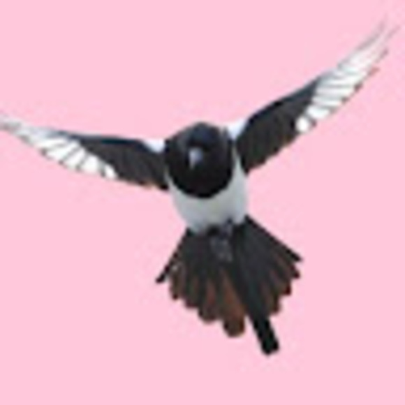 pinkishmagpie